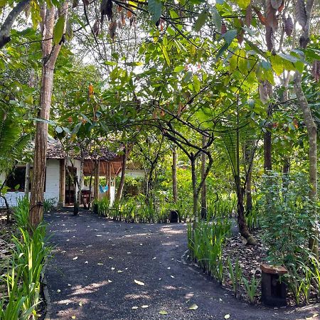 El Campito Lodge Ayampe Dış mekan fotoğraf