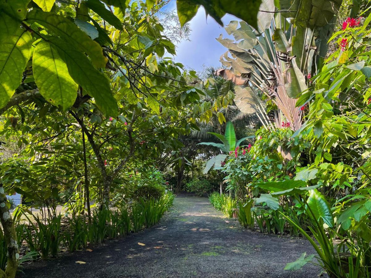 El Campito Lodge Ayampe Dış mekan fotoğraf