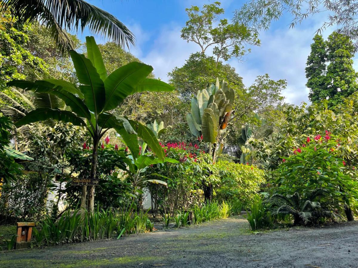 El Campito Lodge Ayampe Dış mekan fotoğraf
