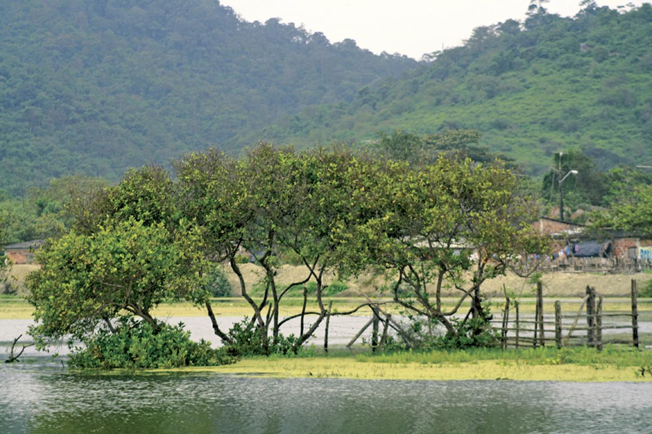 El Campito Lodge Ayampe Dış mekan fotoğraf