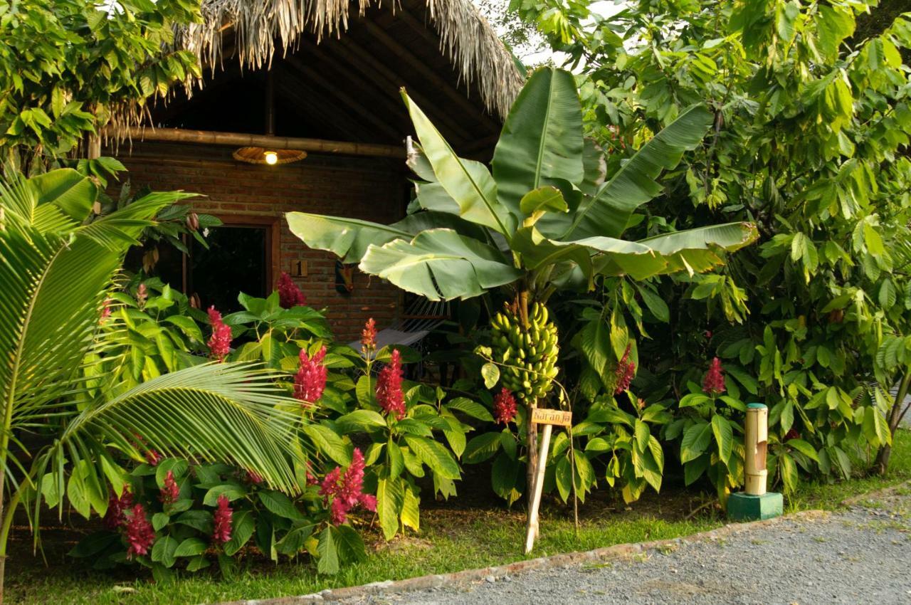 El Campito Lodge Ayampe Dış mekan fotoğraf