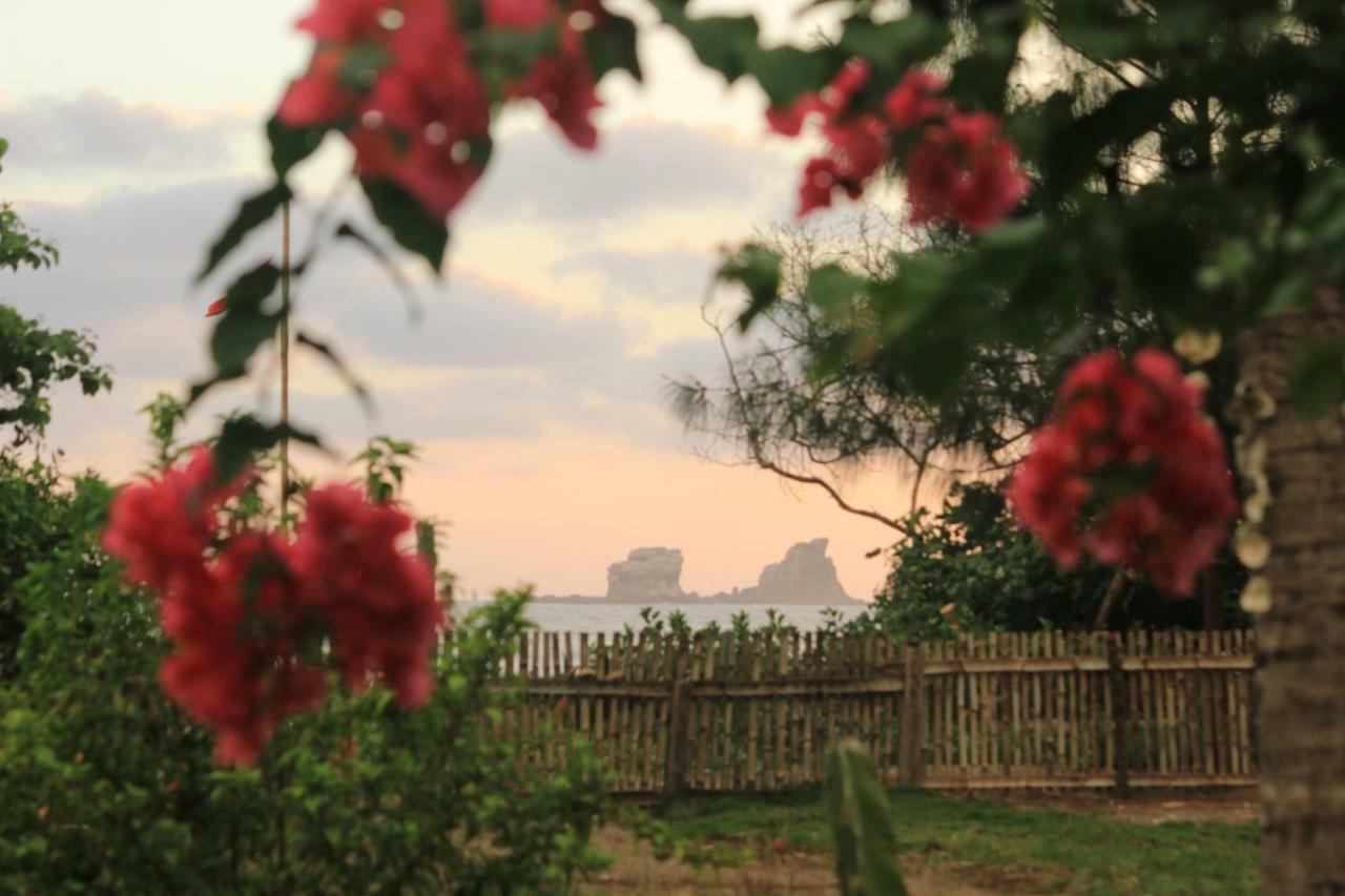 El Campito Lodge Ayampe Oda fotoğraf